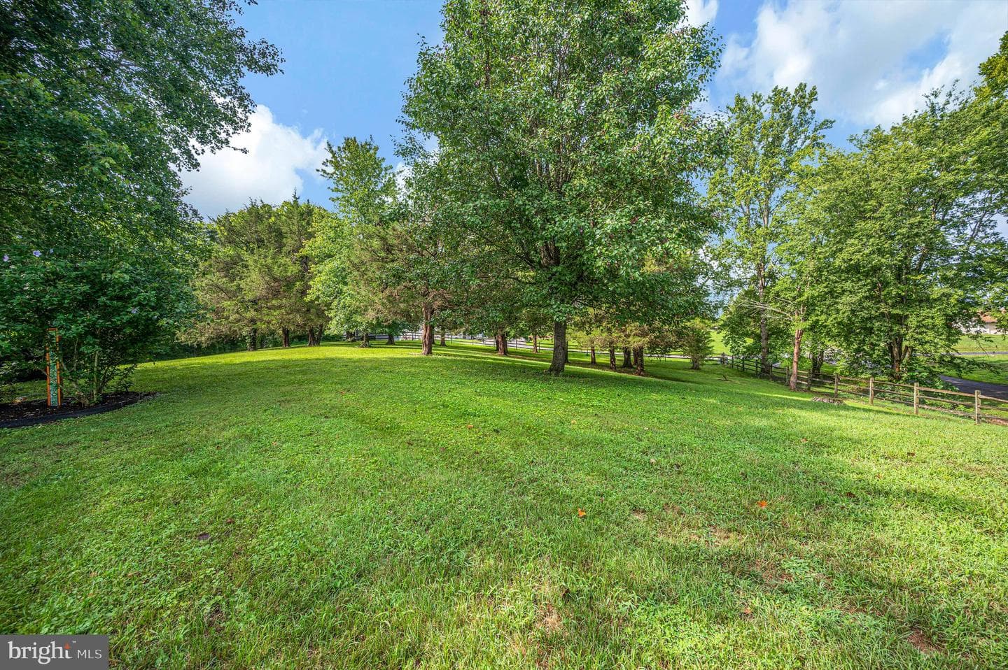 446 Bailey Drive photo 12