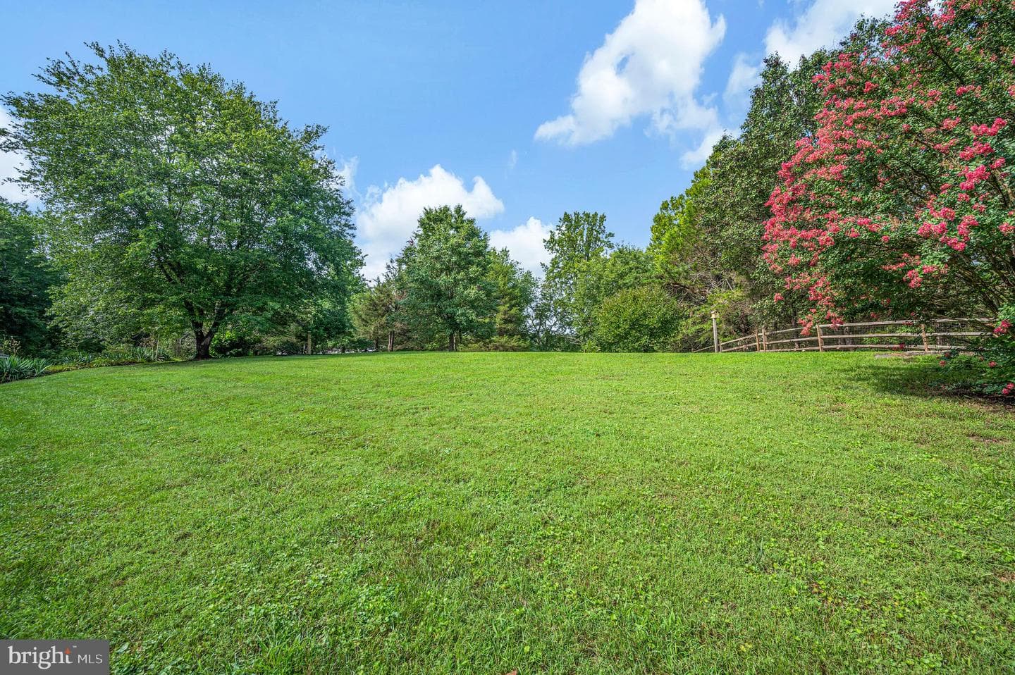 446 Bailey Drive photo 14