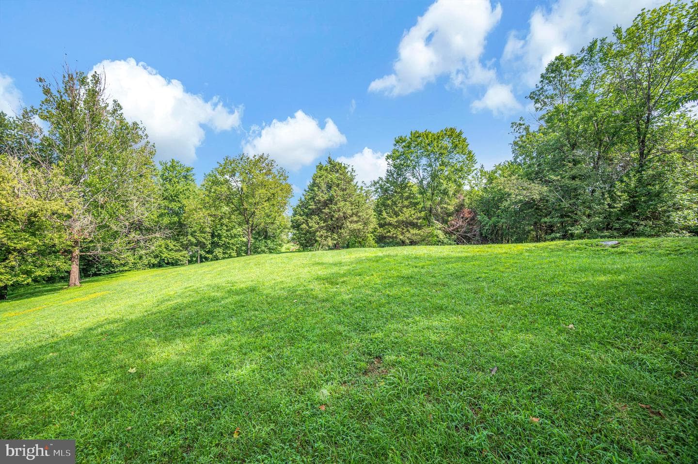 446 Bailey Drive photo 44