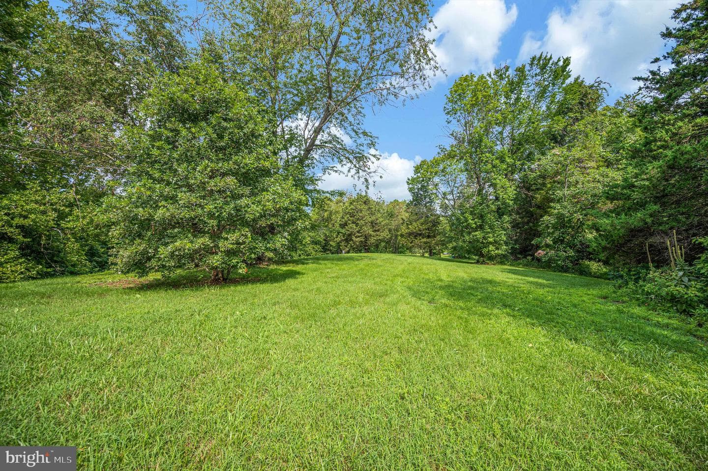 446 Bailey Drive photo 45