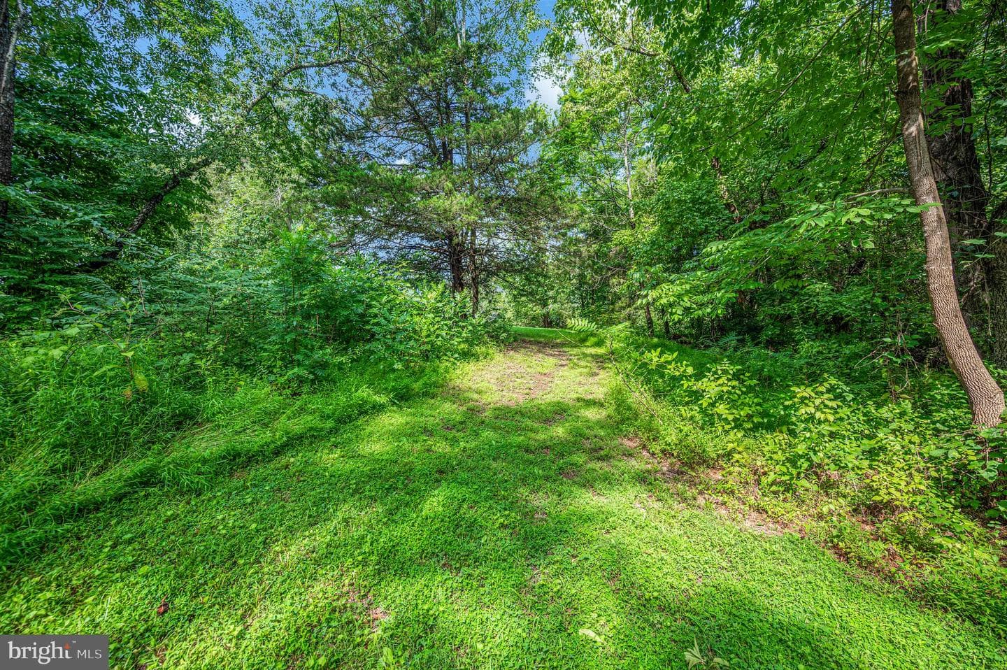 446 Bailey Drive photo 47