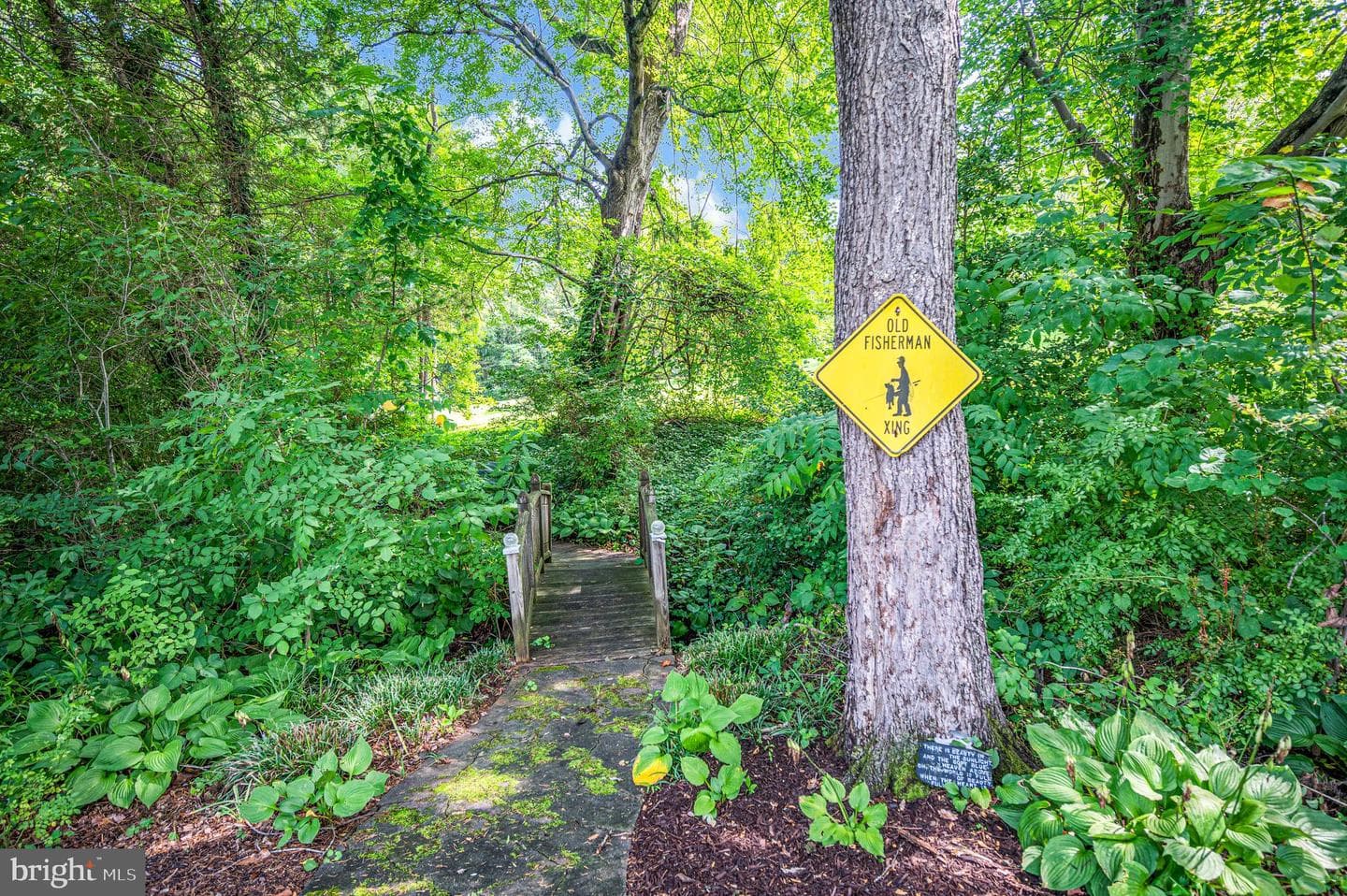 446 Bailey Drive photo 69