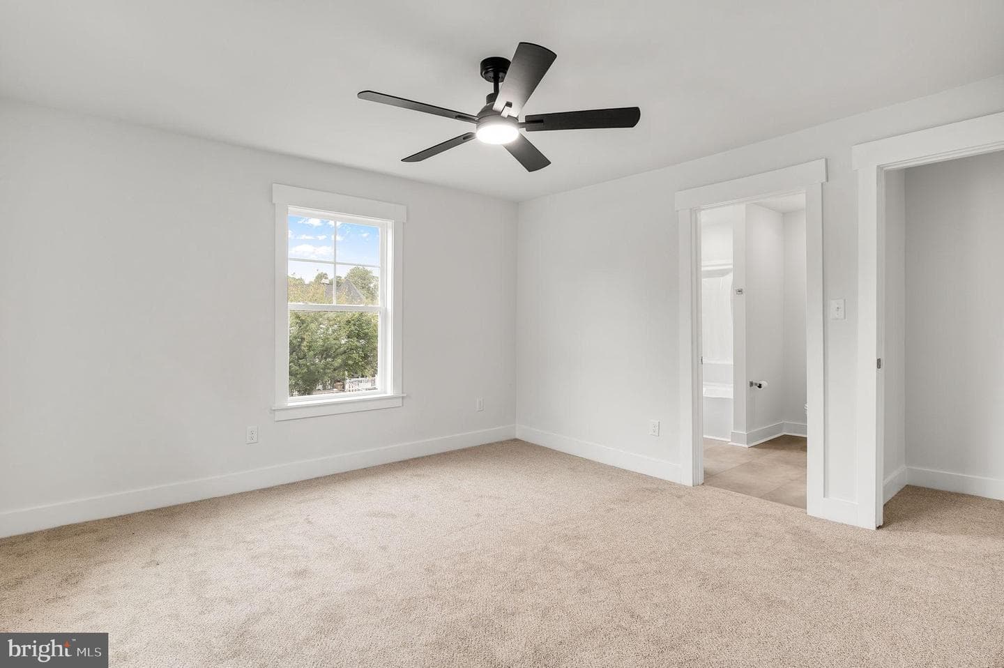 1619 12th Street photo 23