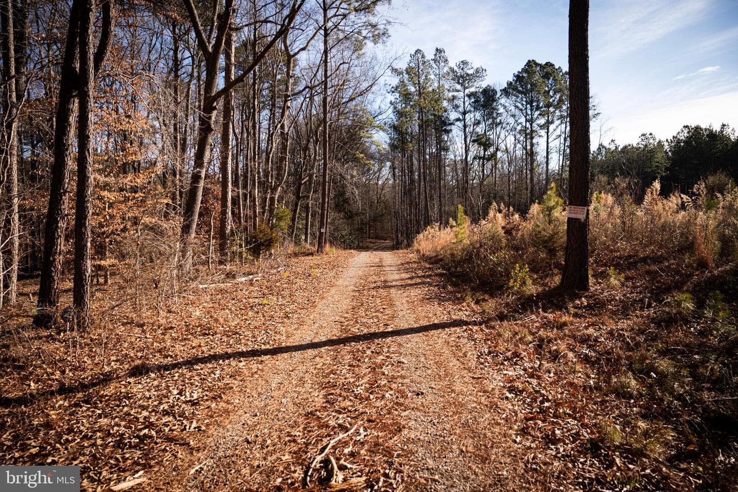 1052 S Hill Road photo 100