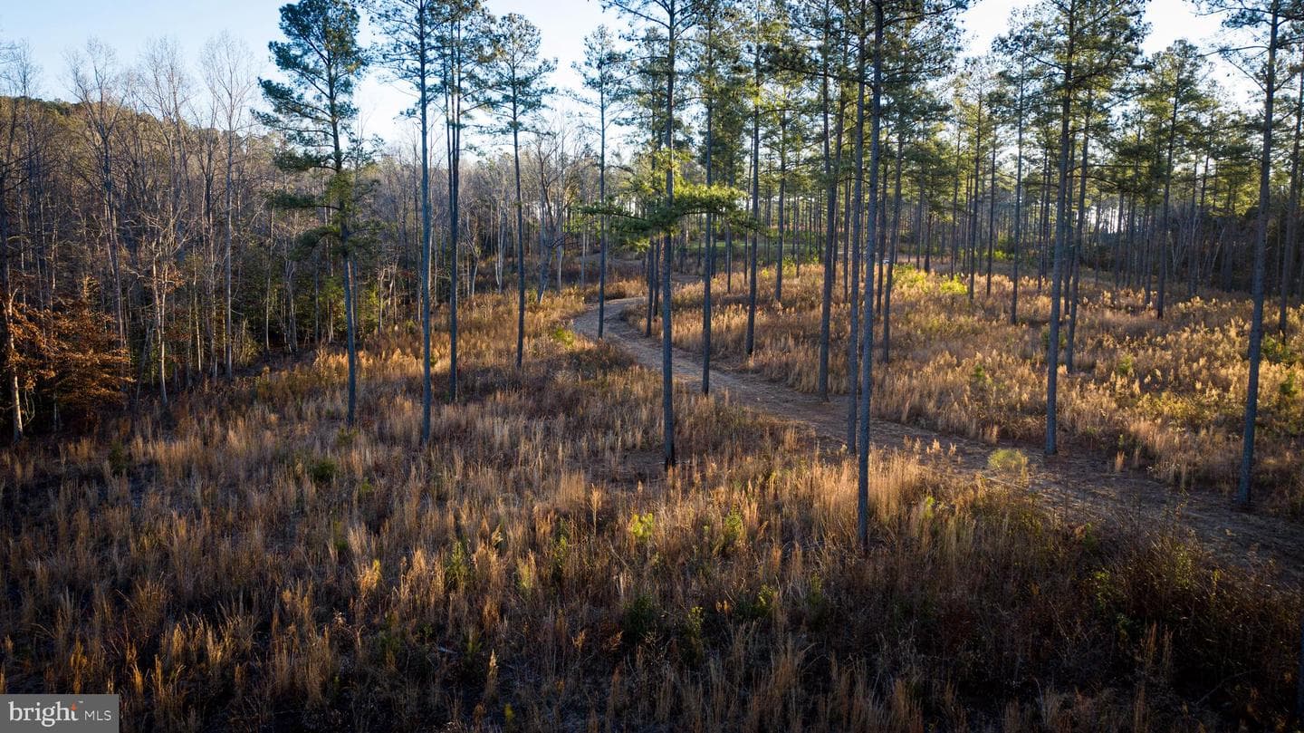 1052 S Hill Road photo 5