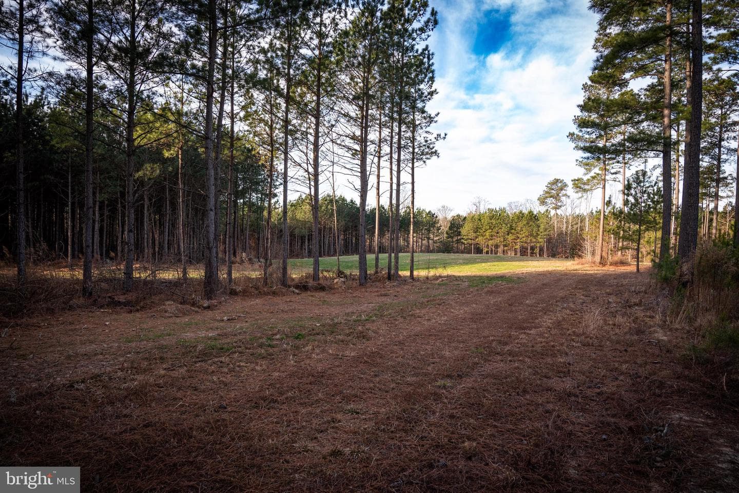 1052 S Hill Road photo 66