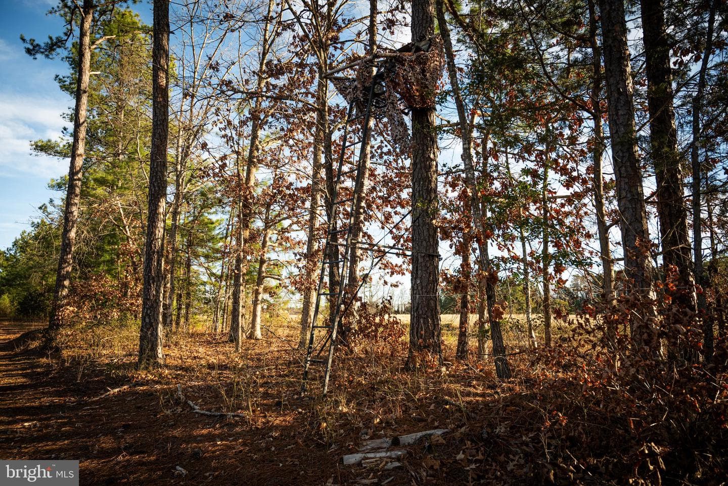 1052 S Hill Road photo 73