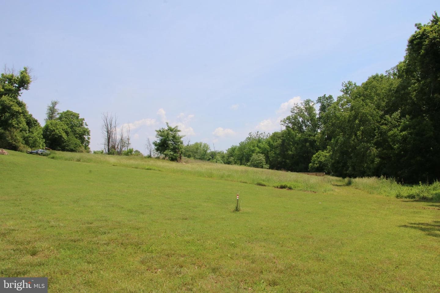 24118 Trailhead Drive photo 8