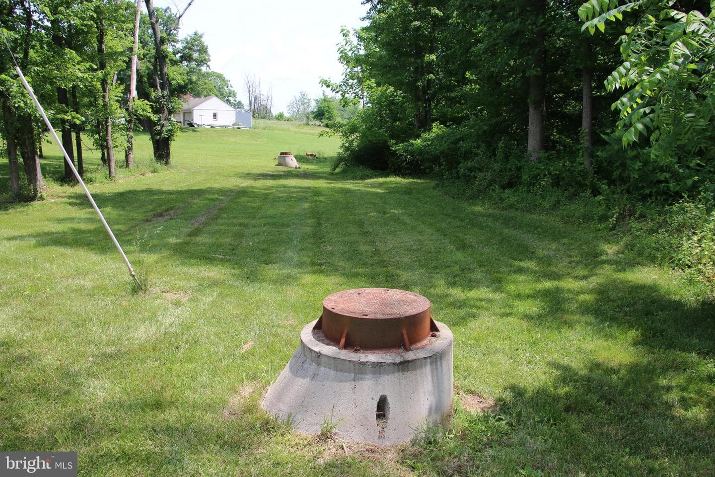 24118 Trailhead Drive photo 9