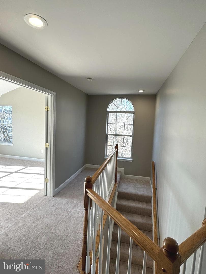 47660 Woolcott Square photo 10