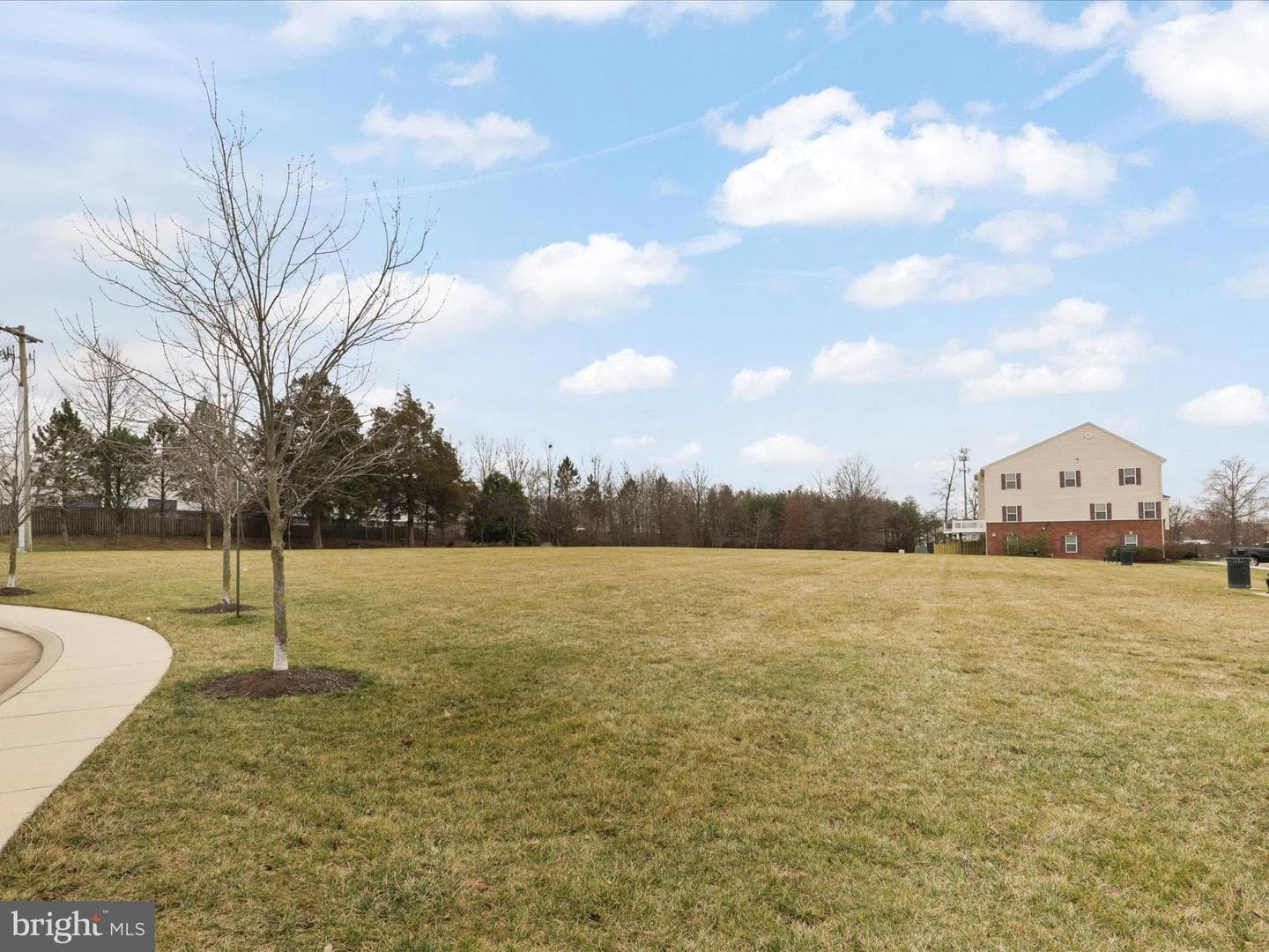 22854 Lacey Oak Terrace photo 47