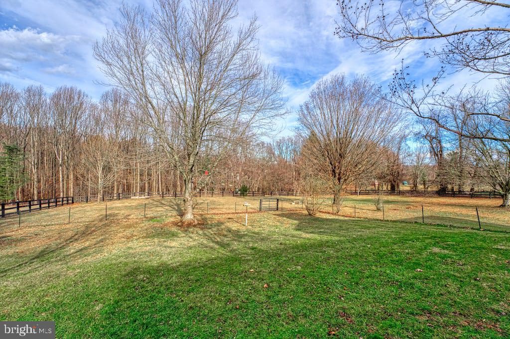 14080 Gusty Knoll Lane photo 47