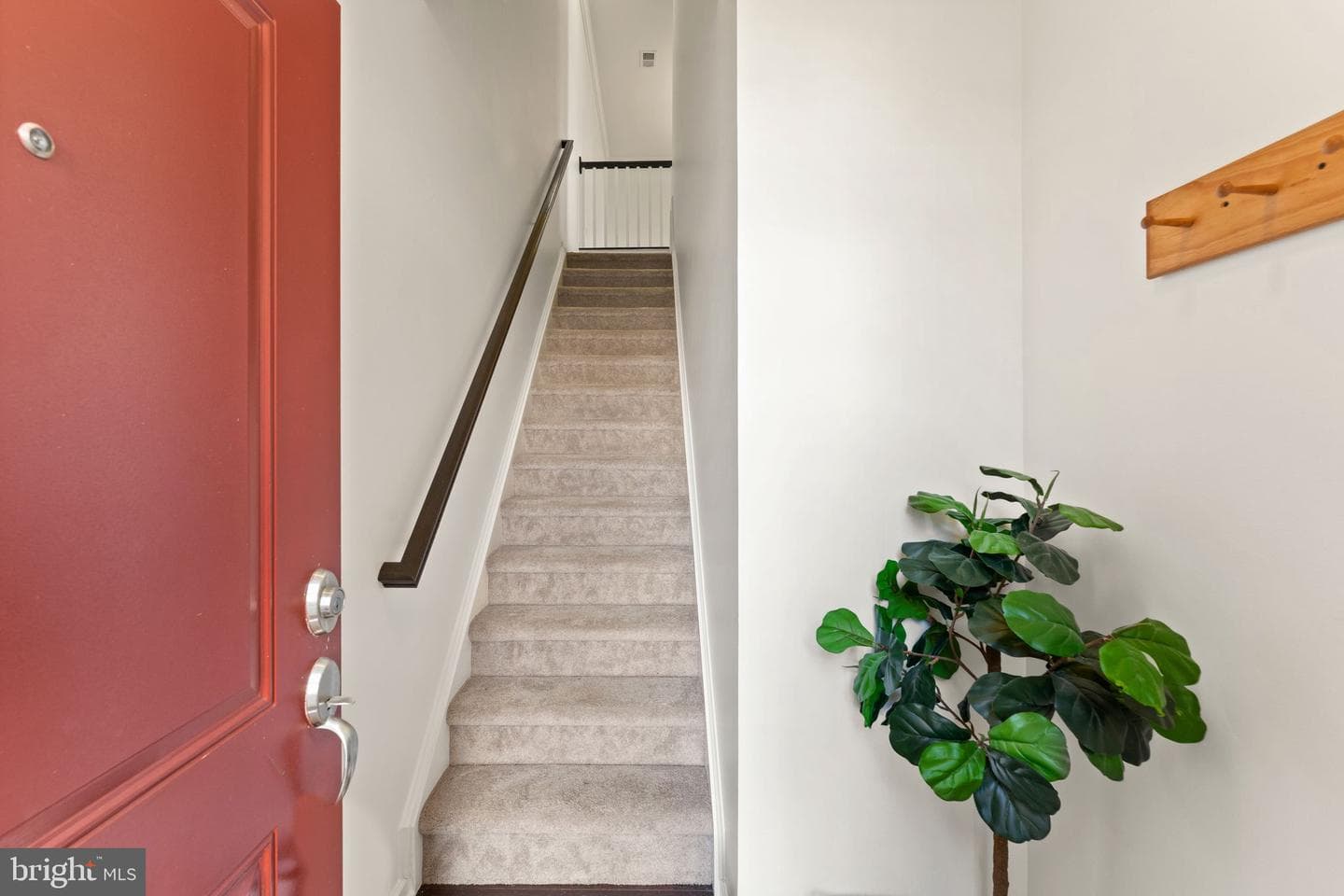 23297 Southdown Manor Terrace #116 photo 6
