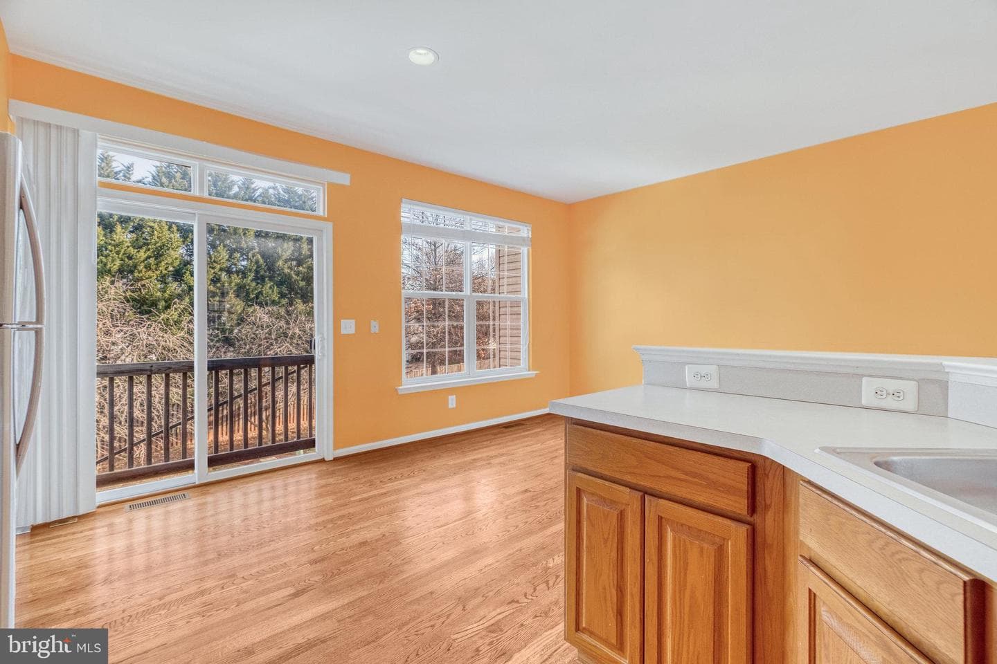 46816 Vermont Maple Terrace photo 16