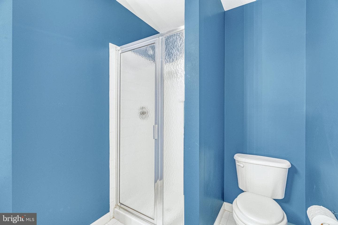 46816 Vermont Maple Terrace photo 30