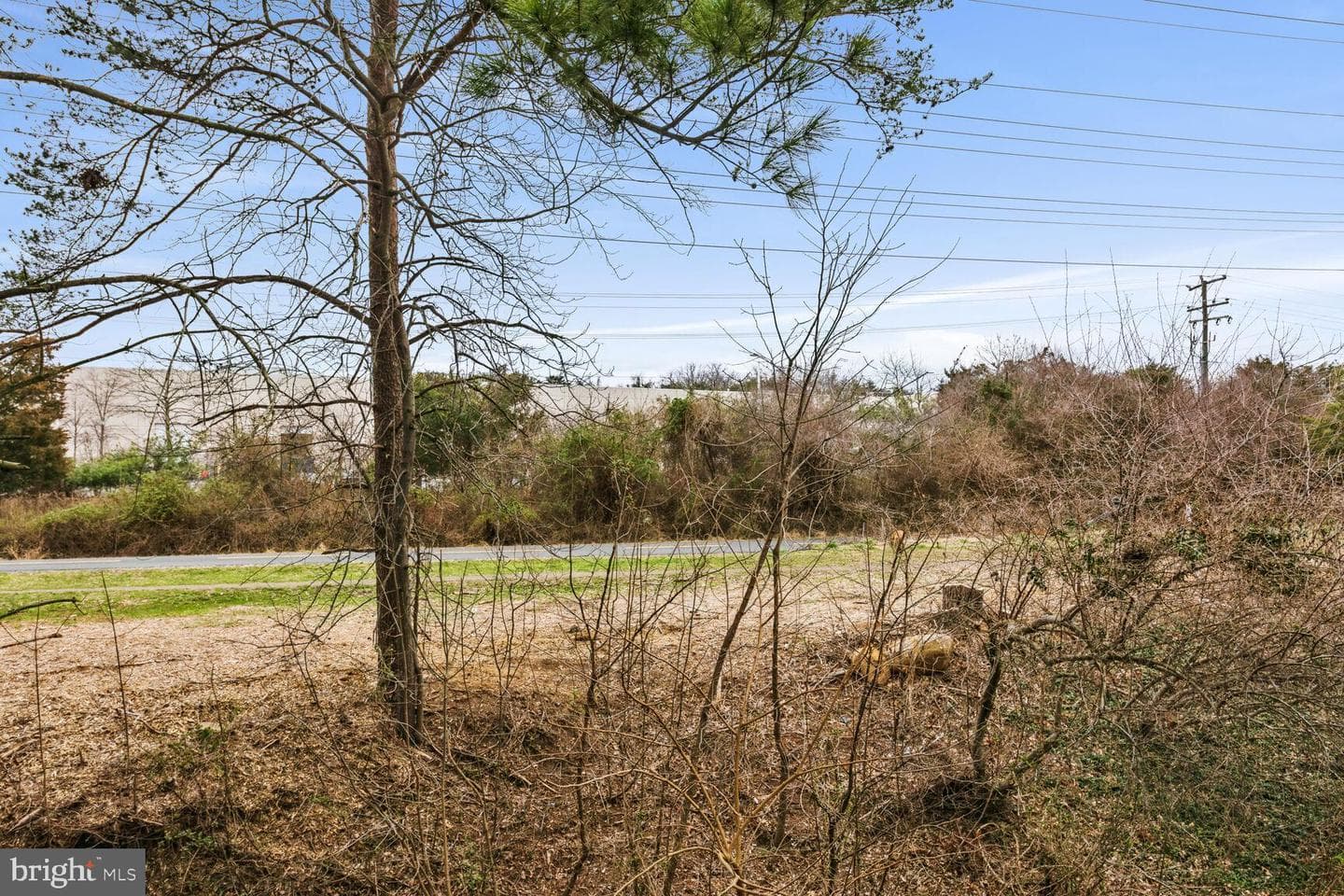 1029 Margate Court #1029c photo 19