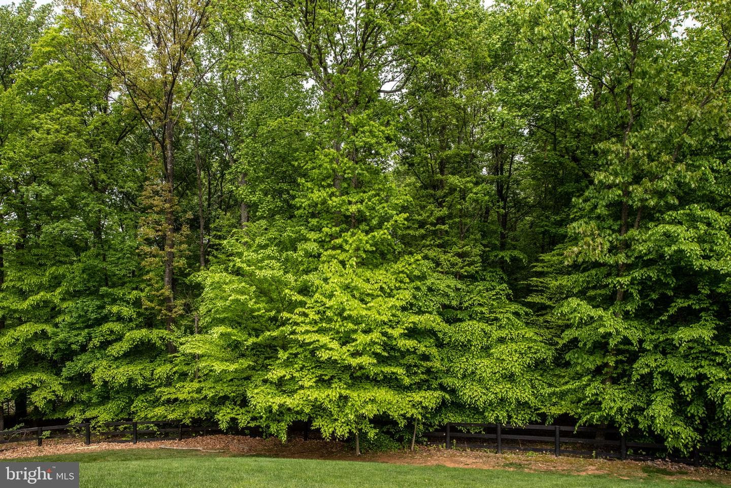 41650 Wakehurst Place photo 67