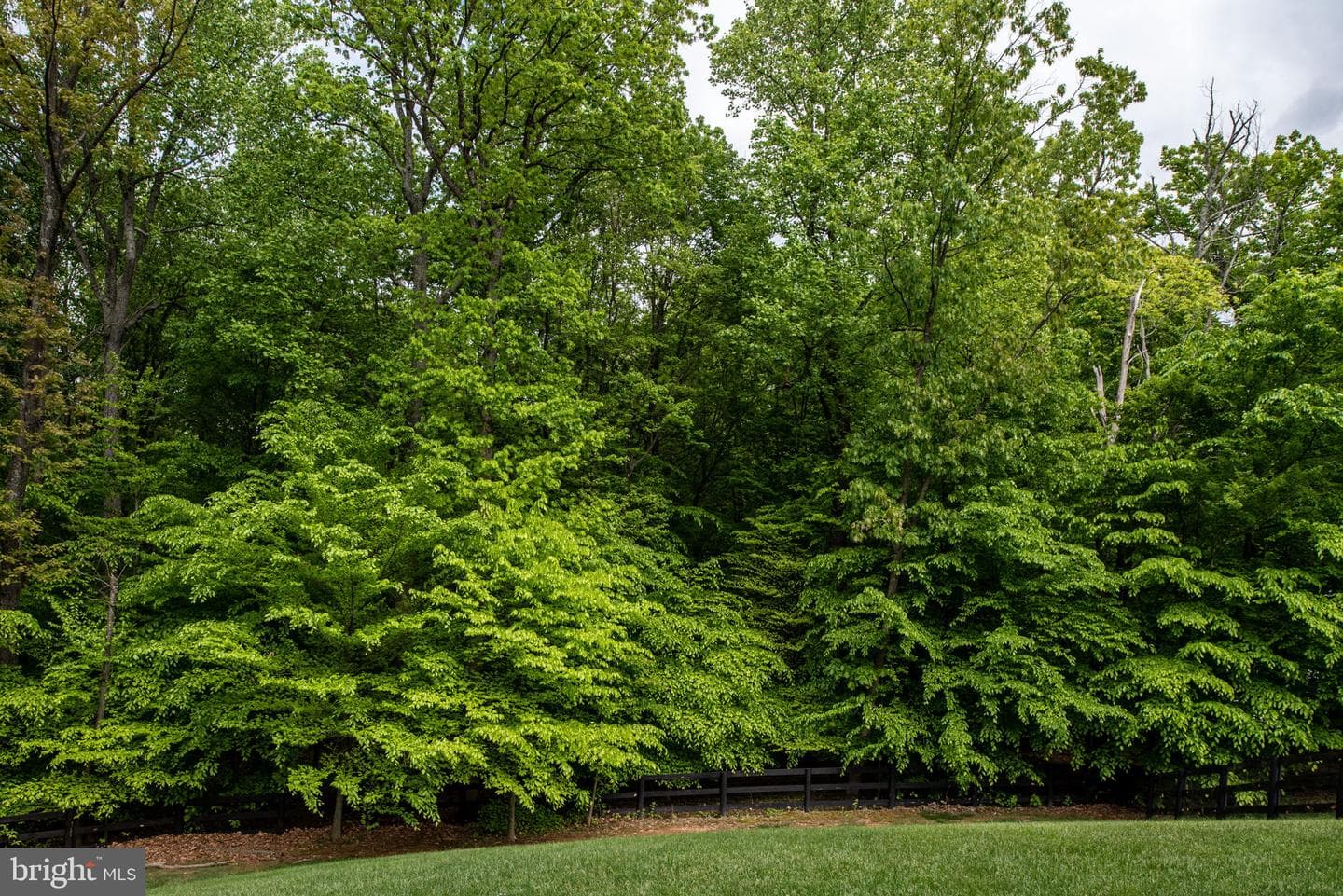 41650 Wakehurst Place photo 69