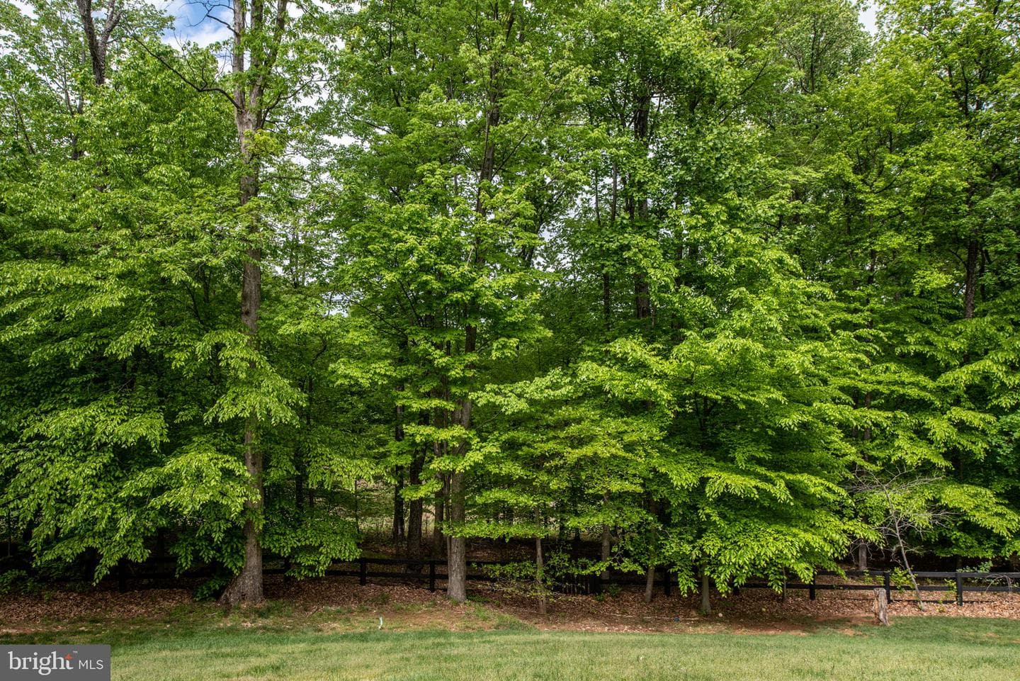 41650 Wakehurst Place photo 70
