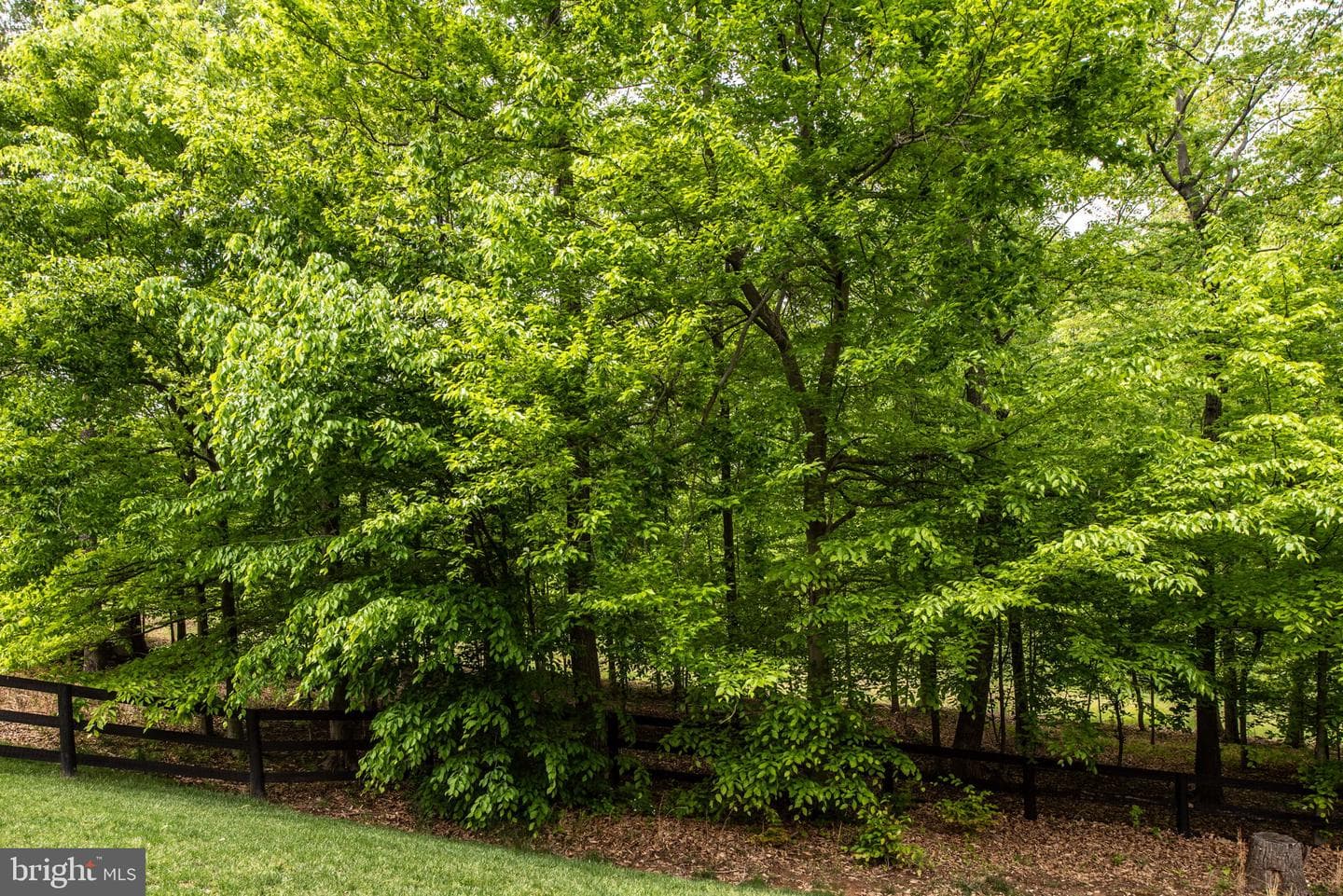 41650 Wakehurst Place photo 72