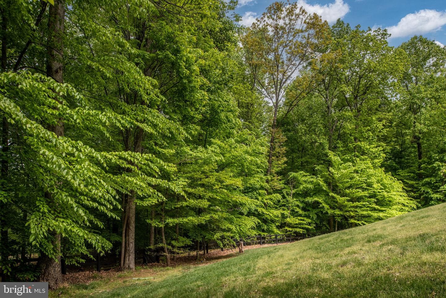 41650 Wakehurst Place photo 74