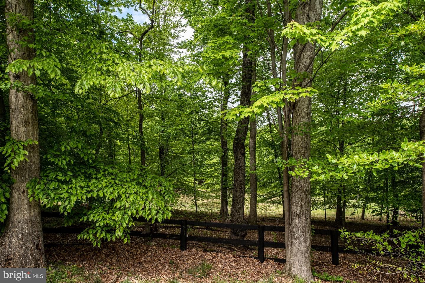 41650 Wakehurst Place photo 77