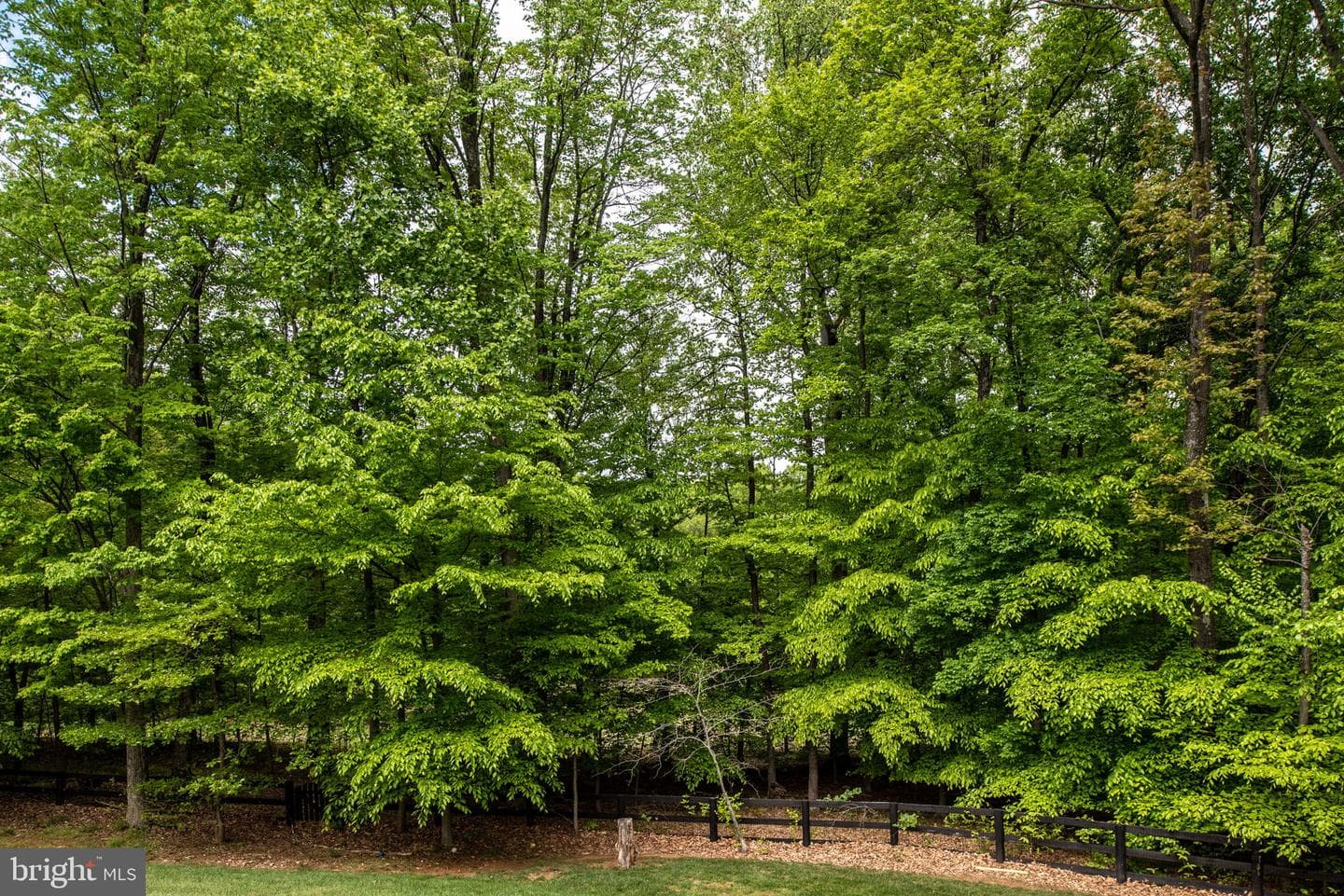 41650 Wakehurst Place photo 79