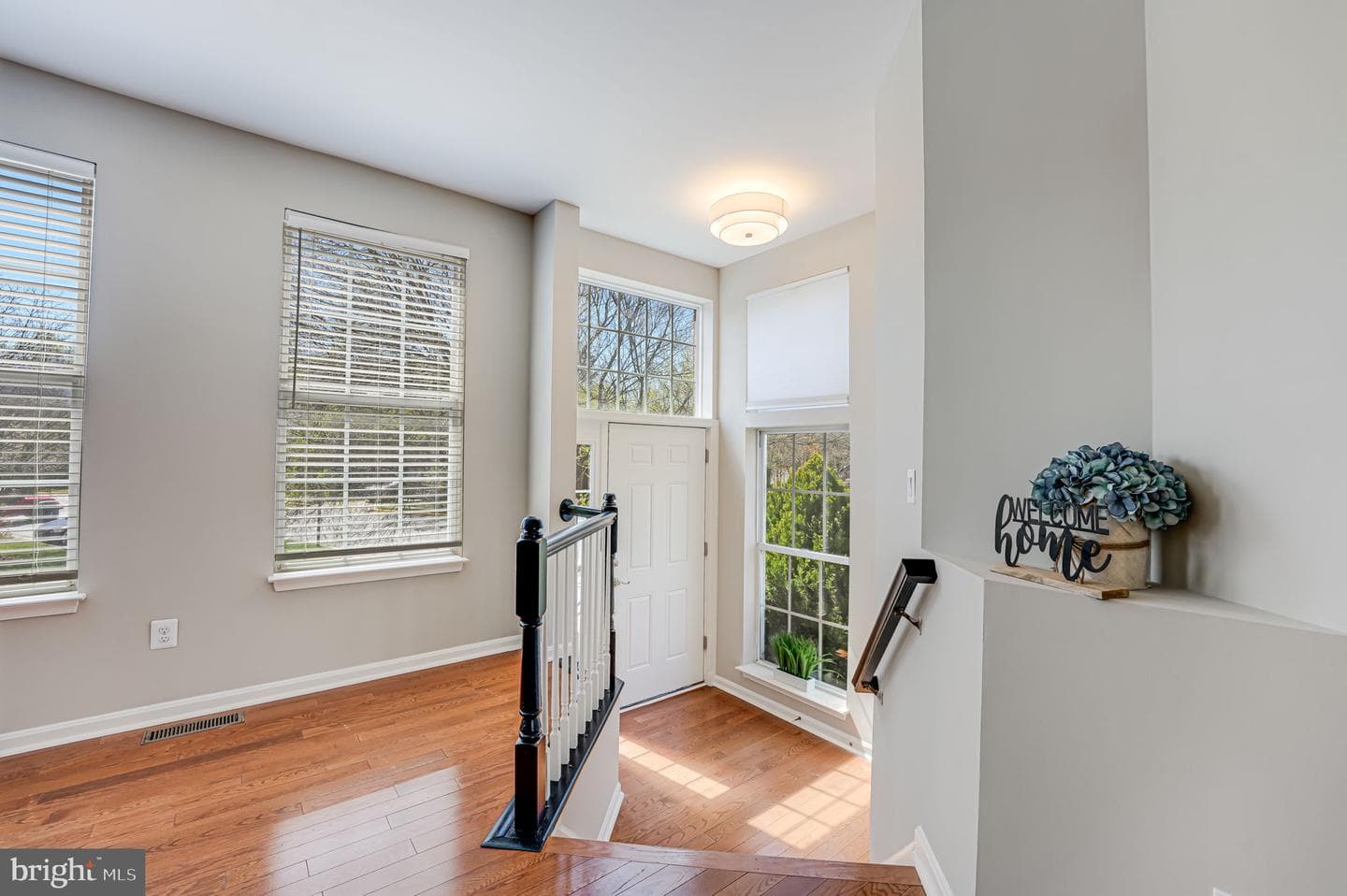21524 Iredell Terrace photo 3