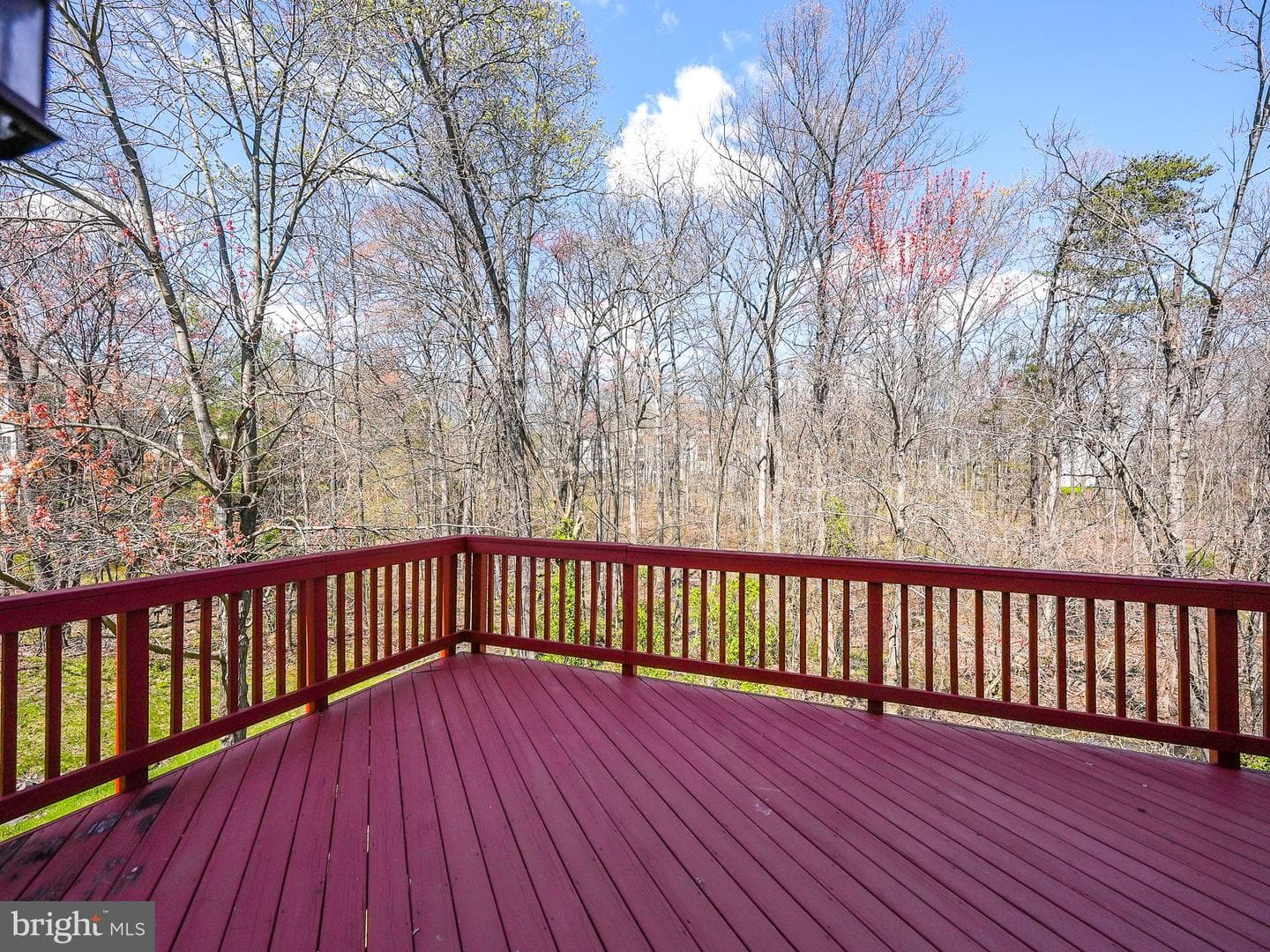 21524 Iredell Terrace photo 35