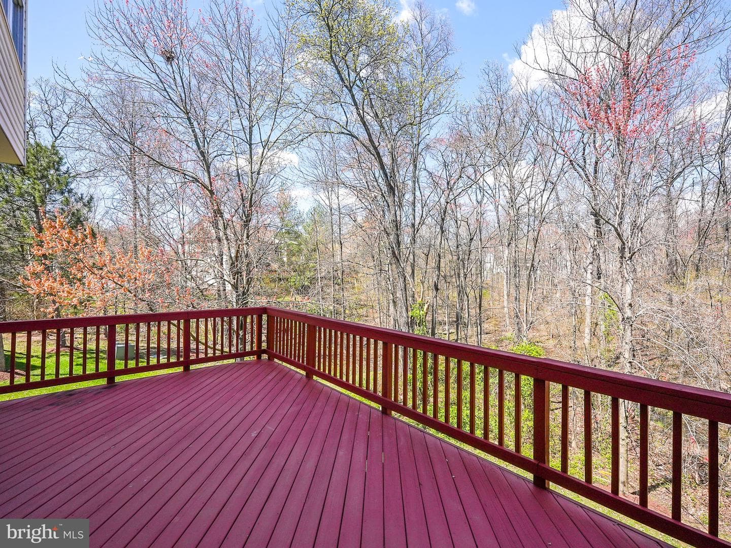 21524 Iredell Terrace photo 37
