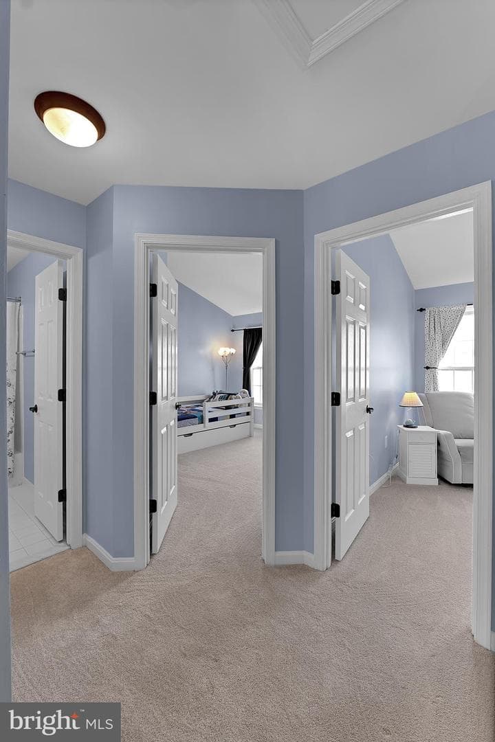 47671 Loweland Terrace photo 41