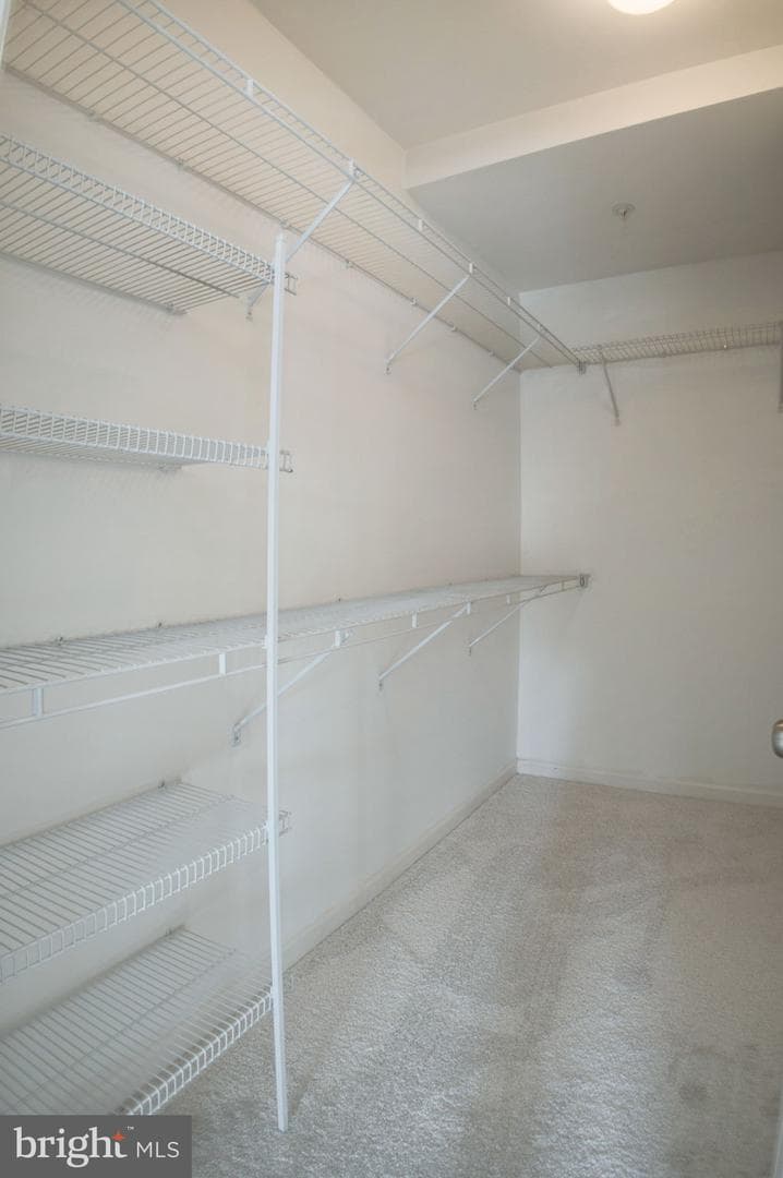 41805 Inspiration Terrace photo 12