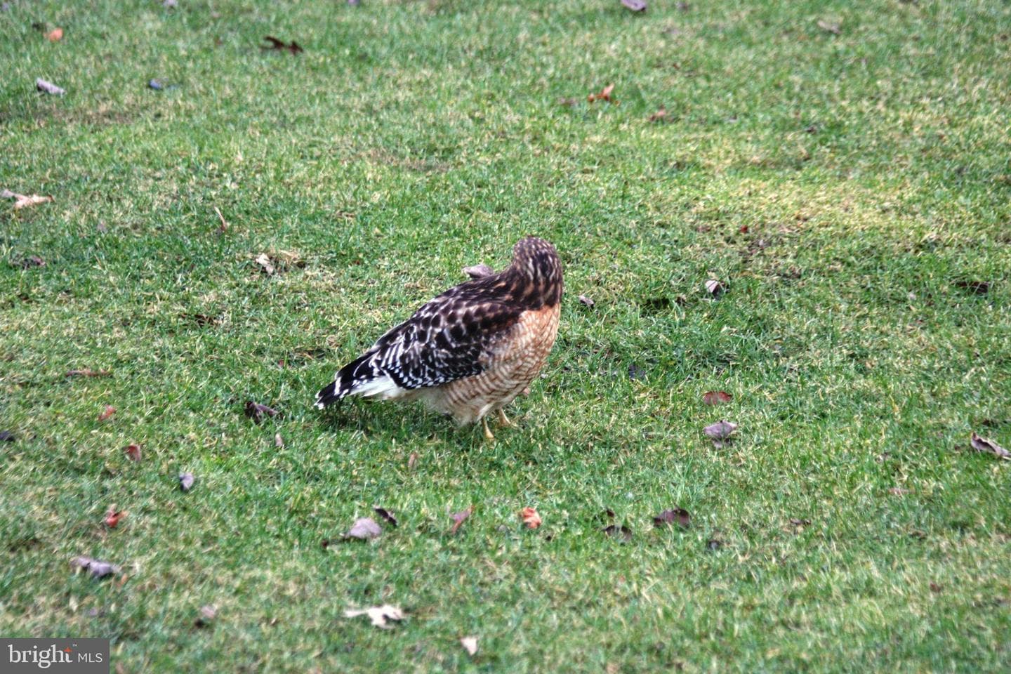 10208 McKean Court photo 69