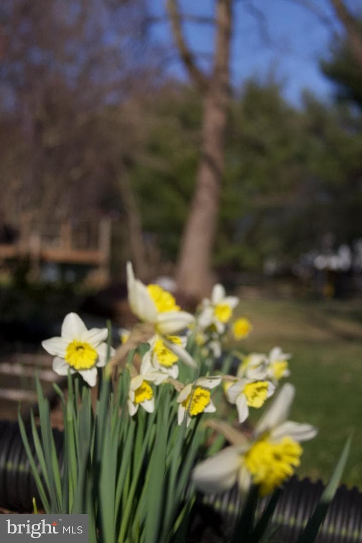 10208 McKean Court photo 71
