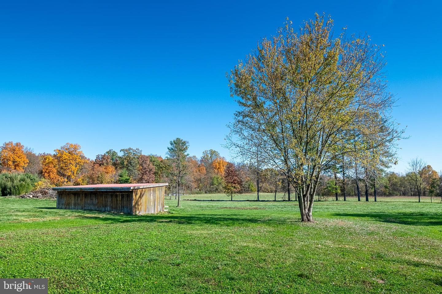 37210 Koerner Lane photo 18