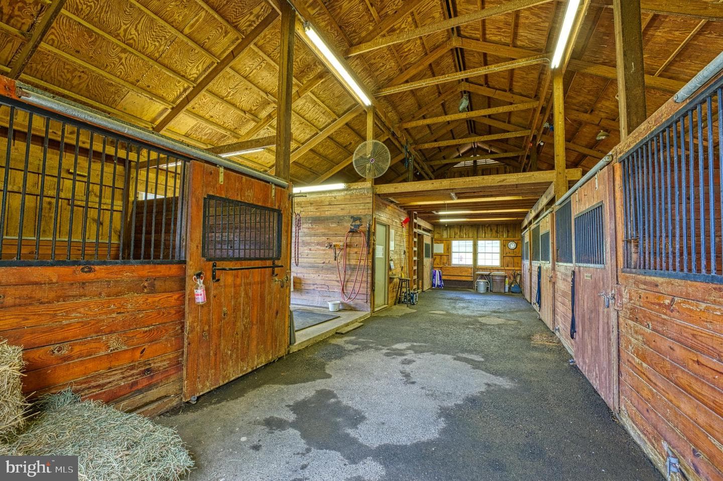 36181 Foxlore Farm Lane photo 65