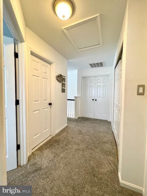 44039 Lords Valley Terrace photo 17