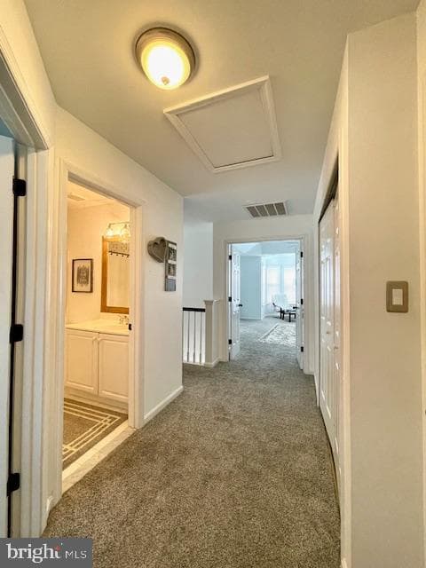 44039 Lords Valley Terrace photo 19