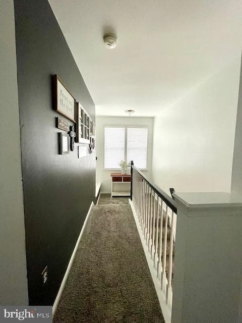 44039 Lords Valley Terrace photo 7