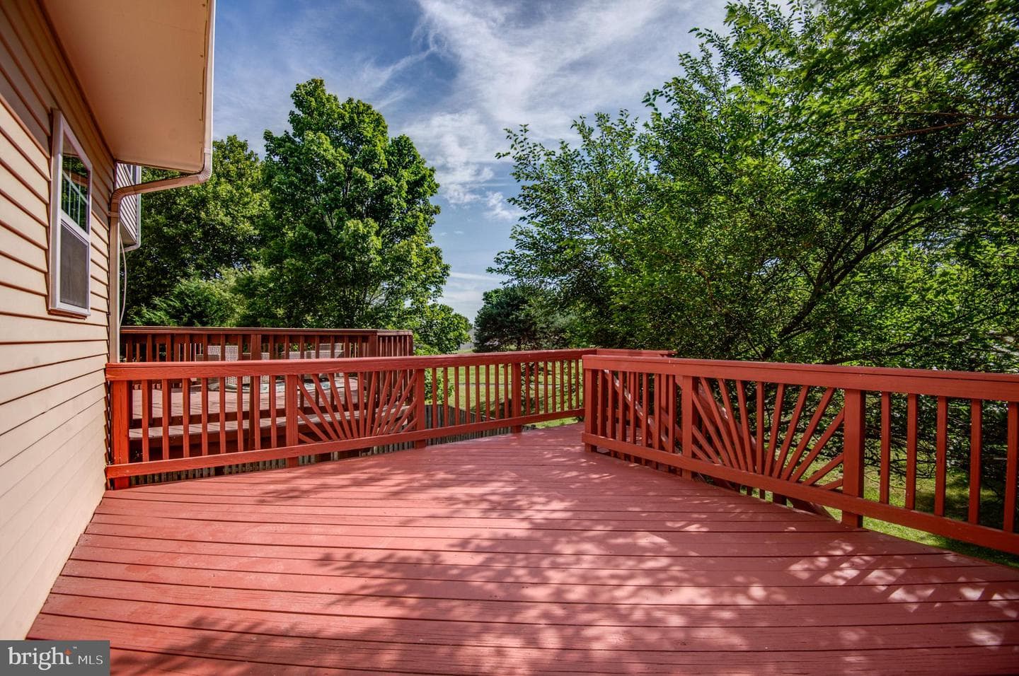 20742 Apollo Terrace photo 47