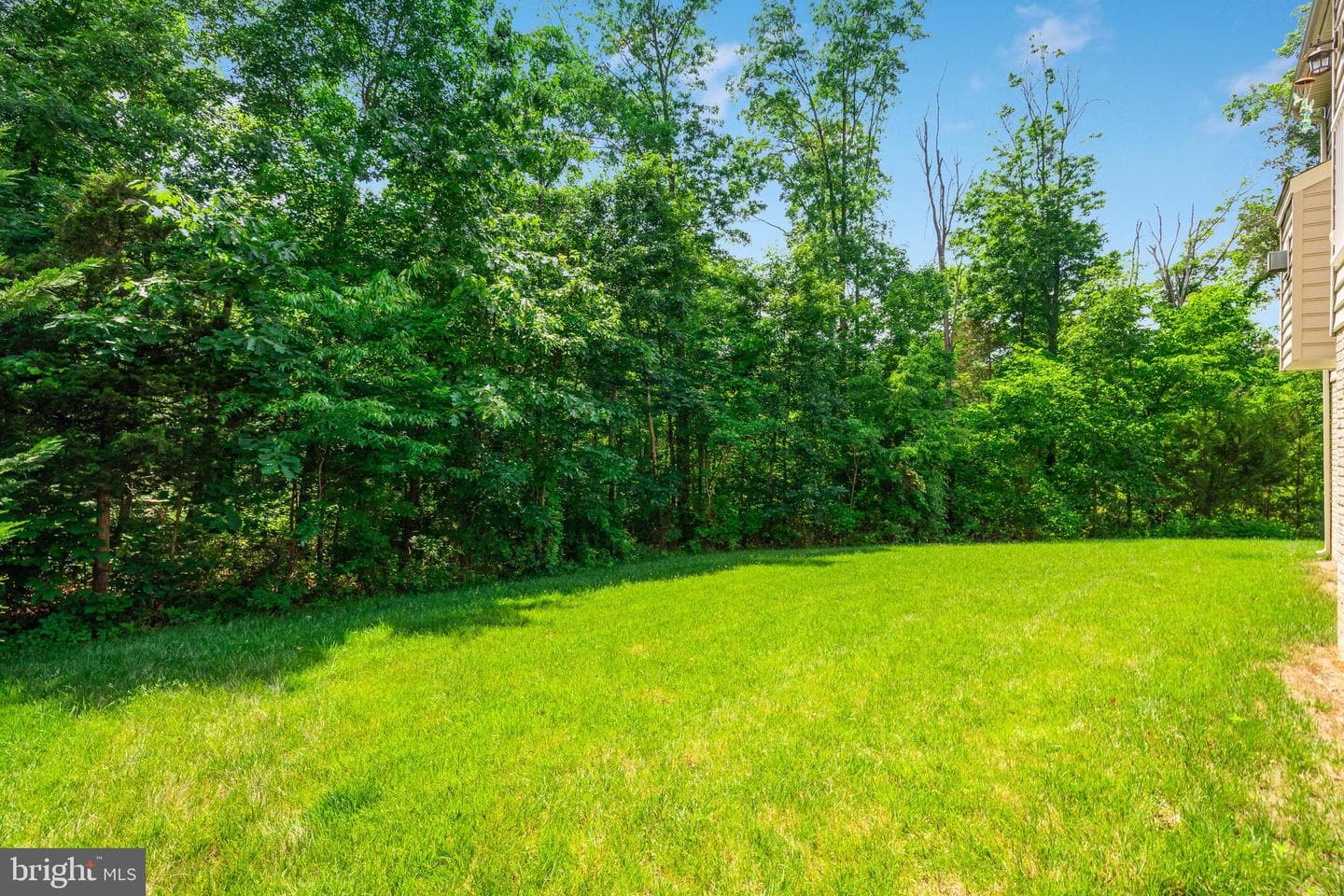 25730 Lennox Hale Drive photo 21