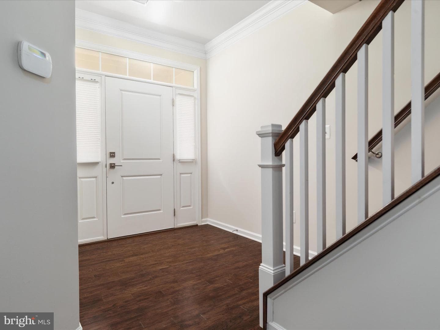 43168 Luttrell Square photo 27