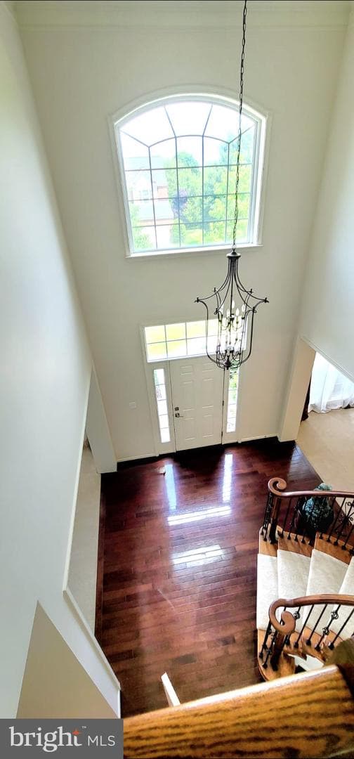 42438 Ibex Drive photo 6