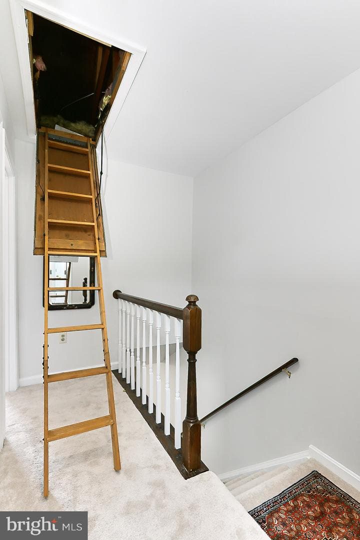 106 Saint Charles Square photo 18