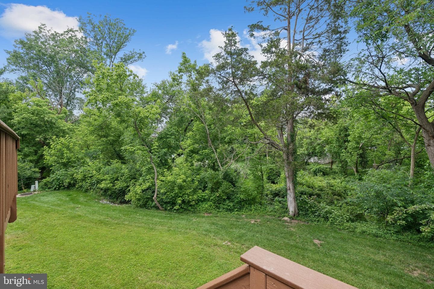 43290 Swampfox Court photo 8