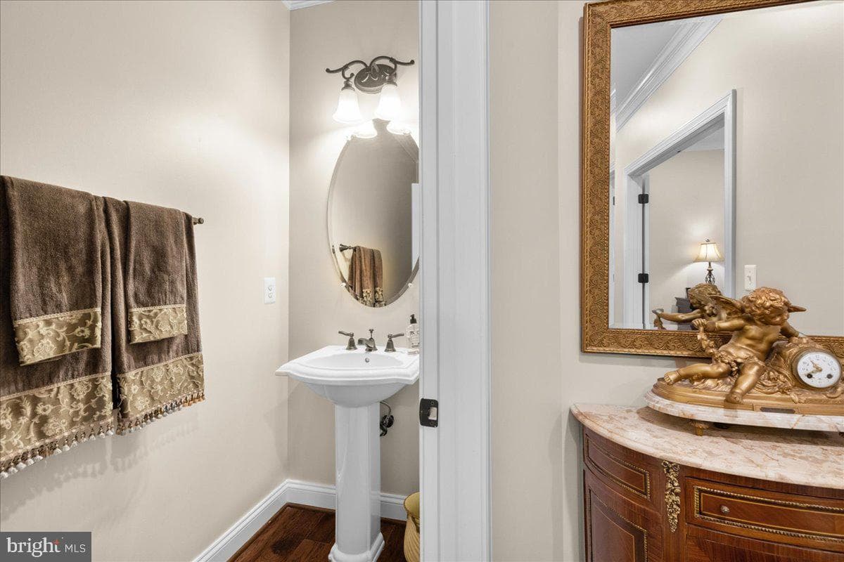 41633 Catoctin Springs Court photo 44