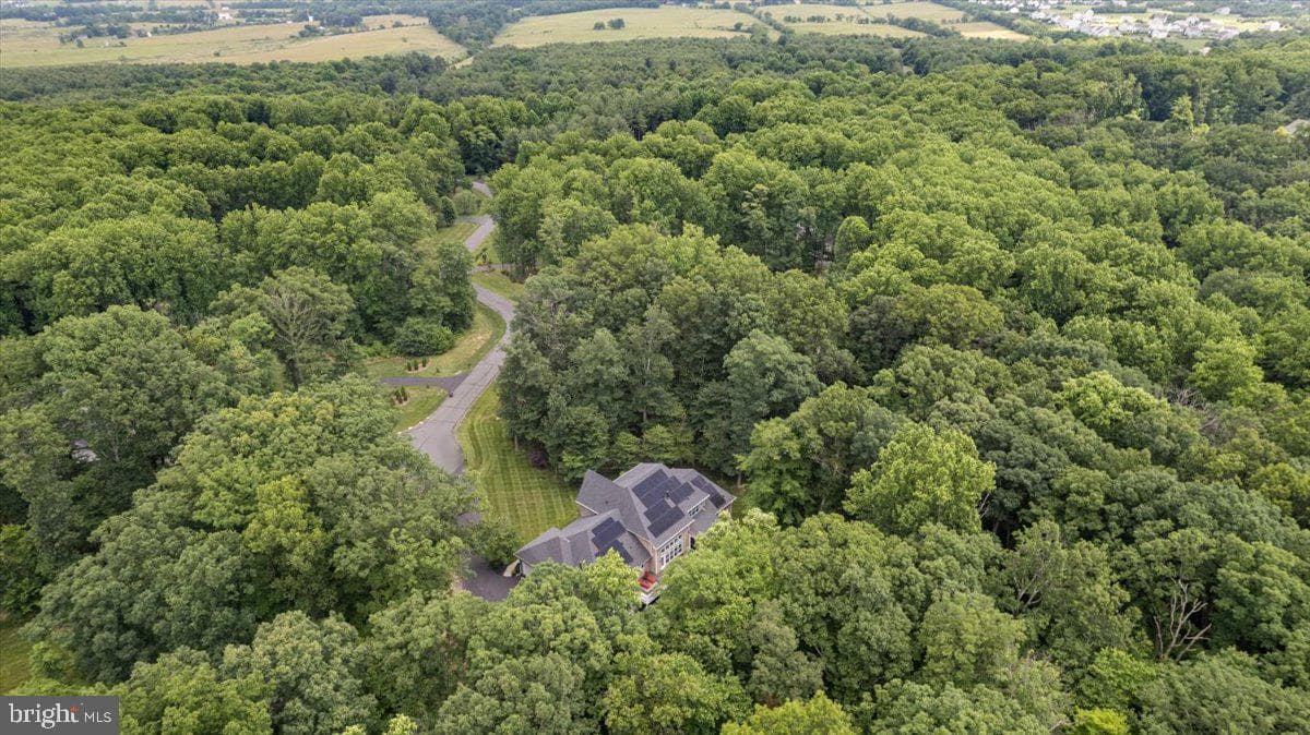 41633 Catoctin Springs Court photo 46