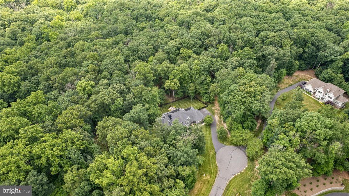 41633 Catoctin Springs Court photo 48