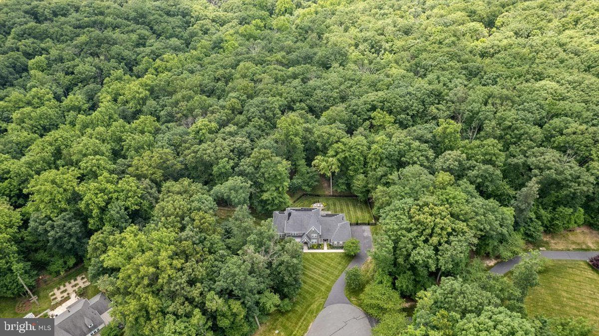 41633 Catoctin Springs Court photo 49