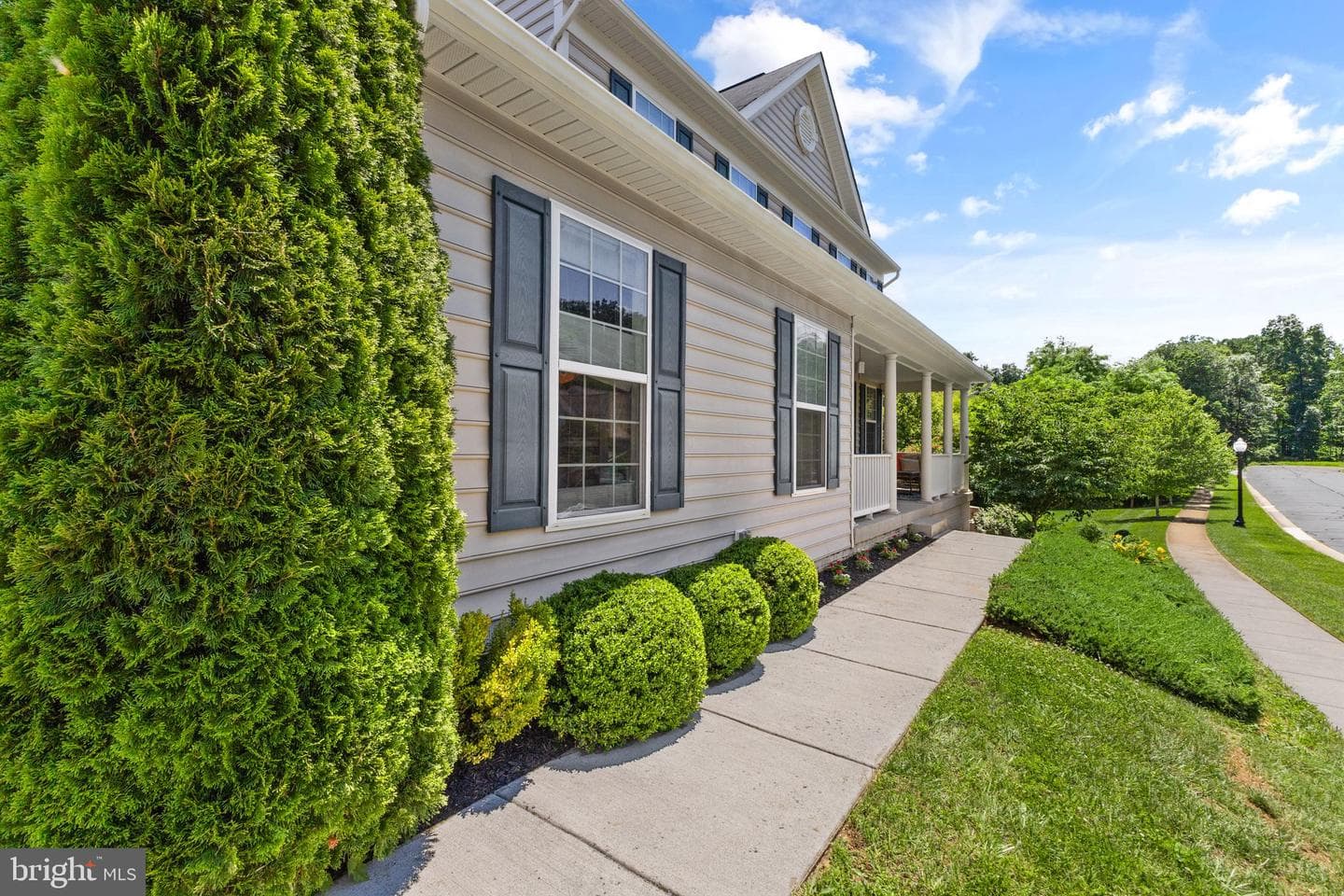 35501 Hudson Street photo 3